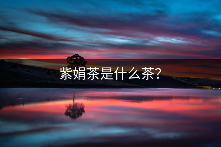 紫娟茶是什么茶？