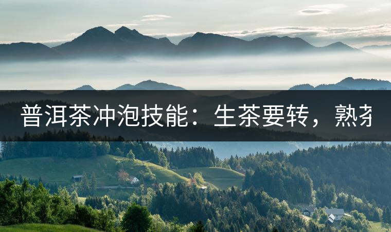 普洱茶沖泡技能：生茶要轉(zhuǎn)，熟茶要柔！