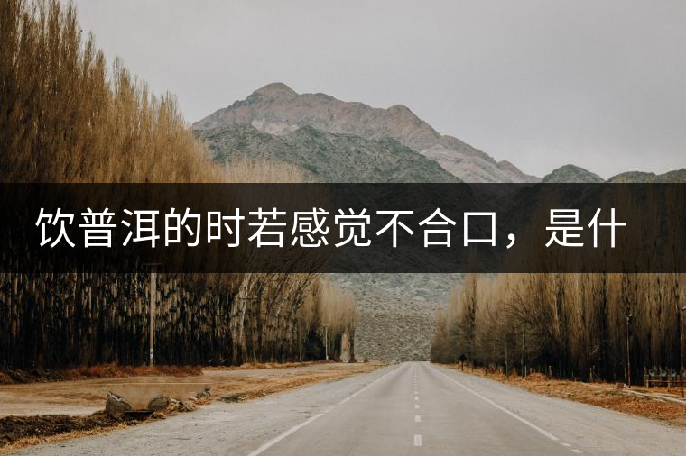 飲普洱的時(shí)若感覺(jué)不合口，是什么原呢？