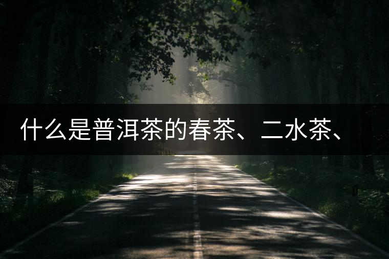 什么是普洱茶的春茶、二水茶、三水茶、四水茶