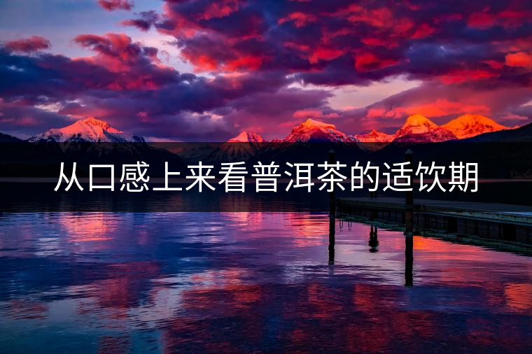 從口感上來看普洱茶的適飲期