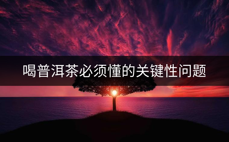 喝普洱茶必須懂的關(guān)鍵性問題 喝普洱茶必須懂的關(guān)鍵性問題
