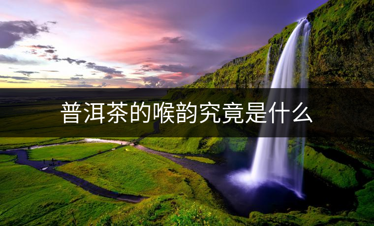 普洱茶的喉韻究竟是什么 普洱茶的喉韻究竟是什么