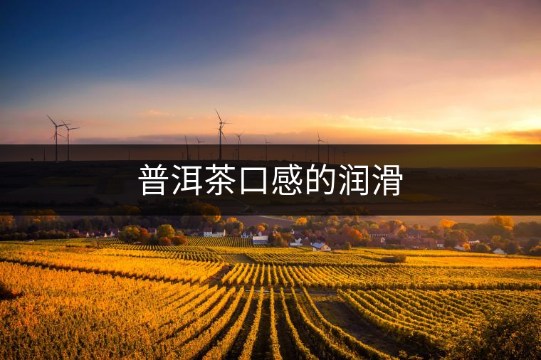普洱茶口感的潤(rùn)滑 普洱茶口感的潤(rùn)滑