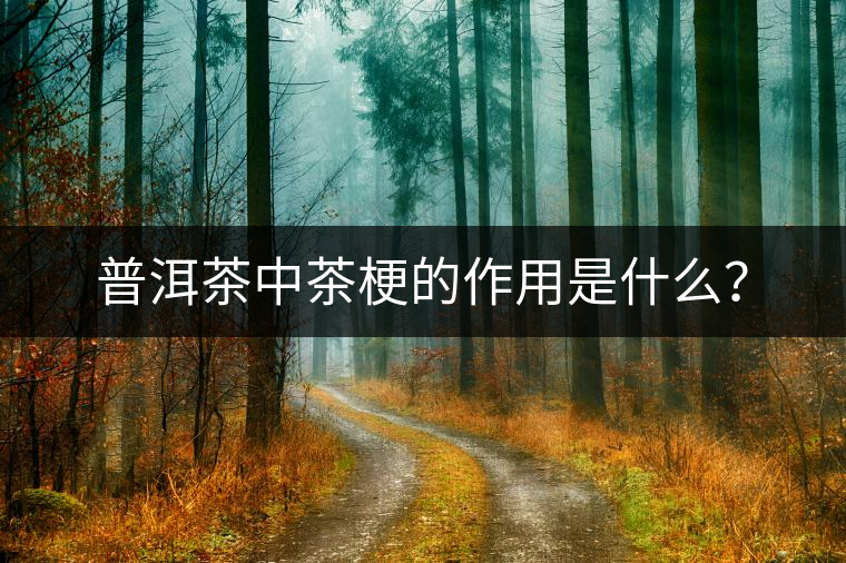 普洱茶中茶梗的作用是什么？