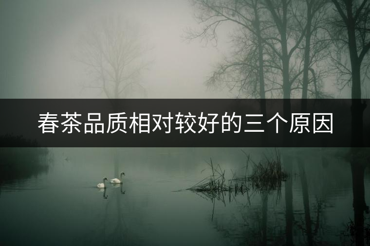 春茶品質相對較好的三個原因