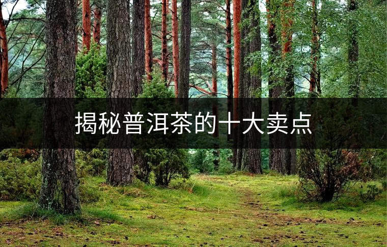 揭秘普洱茶的十大賣點 揭秘普洱茶的十大賣點