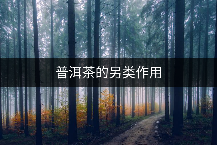 普洱茶的另類作用 普洱茶的另類作用