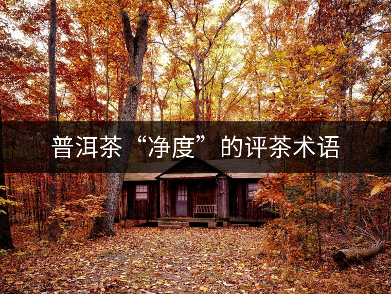 普洱茶“凈度”的評(píng)茶術(shù)語(yǔ)