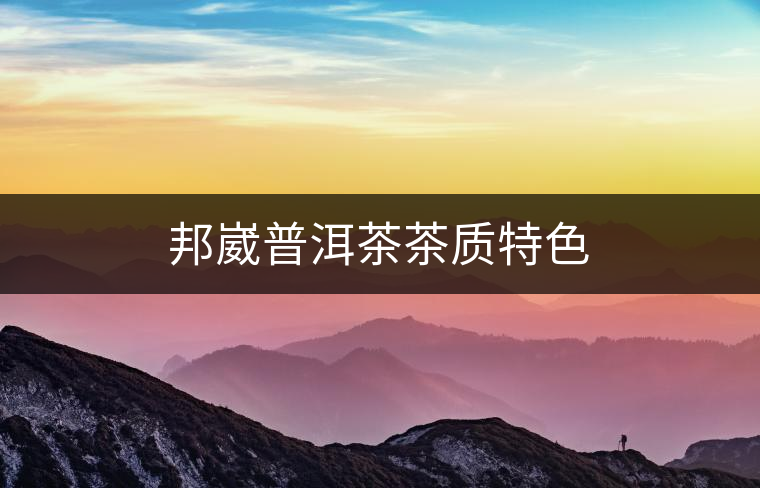 邦崴普洱茶茶質特色