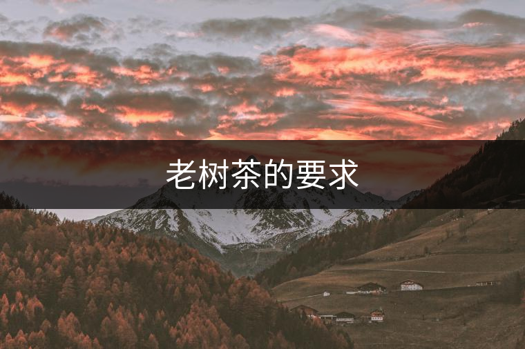 老樹茶的要求 老樹茶的要求