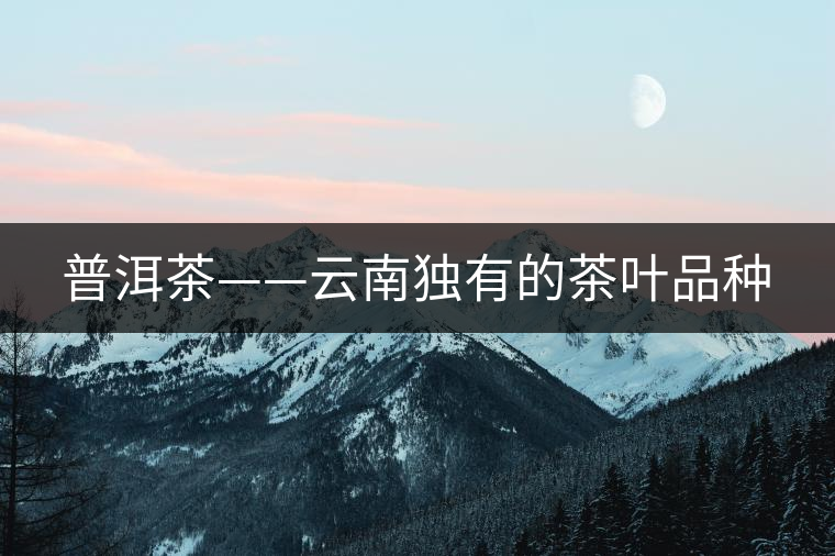 普洱茶——云南獨有的茶葉品種 普洱茶——云南獨有的茶葉品種