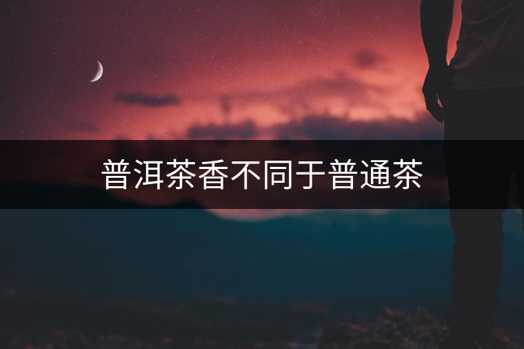 普洱茶香不同于普通茶