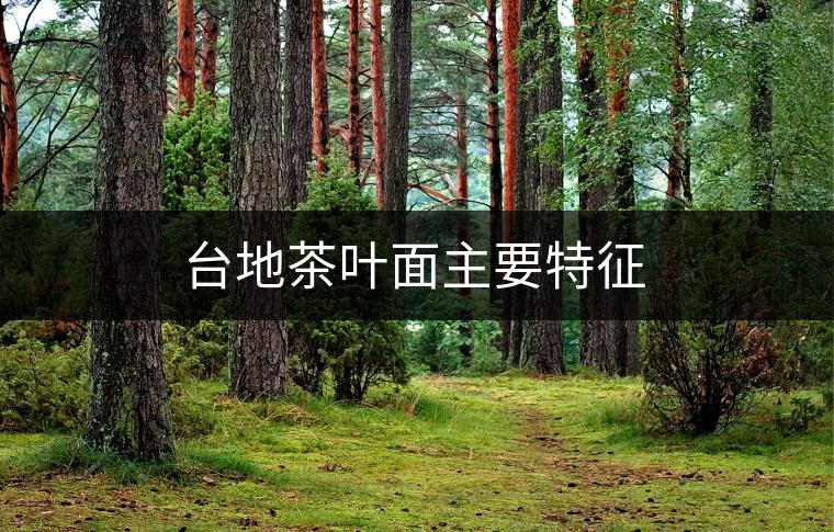 臺地茶葉面主要特征 臺地茶葉面主要特征