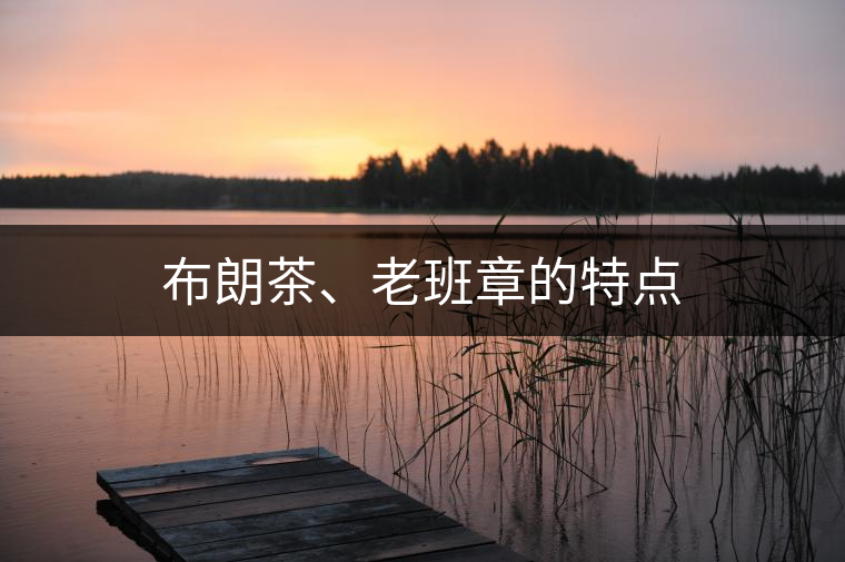 布朗茶、老班章的特點(diǎn)