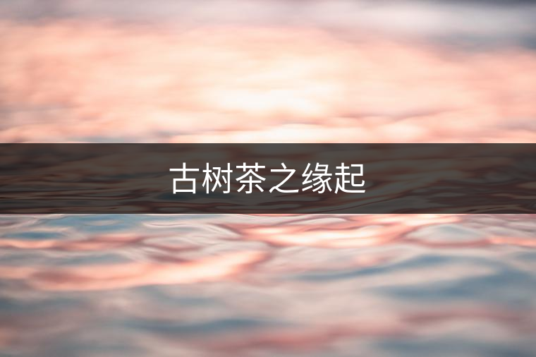 古樹(shù)茶之緣起 古樹(shù)茶之緣起