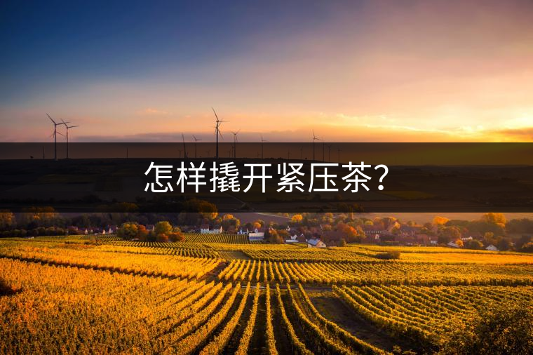 怎樣撬開緊壓茶？