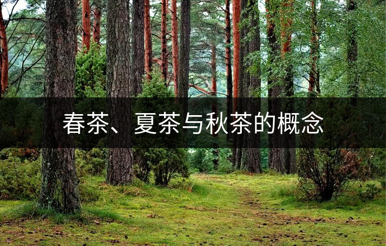 春茶、夏茶與秋茶的概念