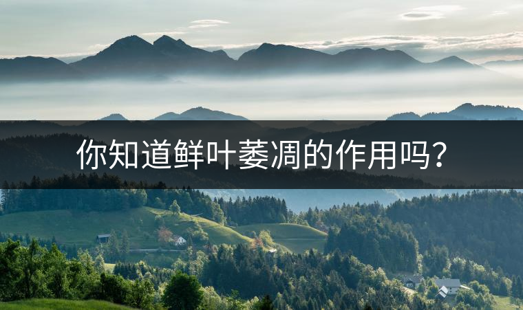 你知道鮮葉萎凋的作用嗎？