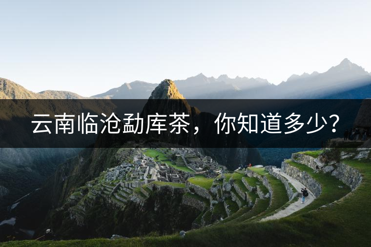 云南臨滄勐庫茶，你知道多少？