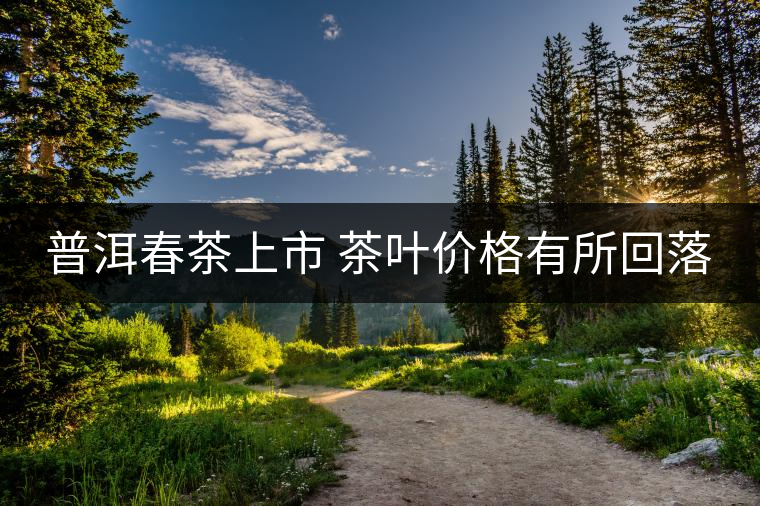 普洱春茶上市 茶葉價(jià)格有所回落 普洱春茶上市 茶葉價(jià)格有所回落