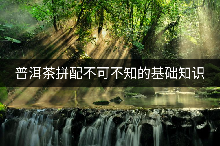 普洱茶拼配不可不知的基礎知識 普洱茶拼配不可不知的基礎知識
