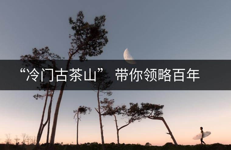 “冷門(mén)古茶山” 帶你領(lǐng)略百年古茶樹(shù)的魅力 “冷門(mén)古茶山” 帶你領(lǐng)略百年古茶樹(shù)的魅力