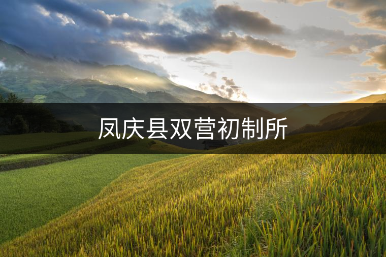 鳳慶縣雙營(yíng)初制所