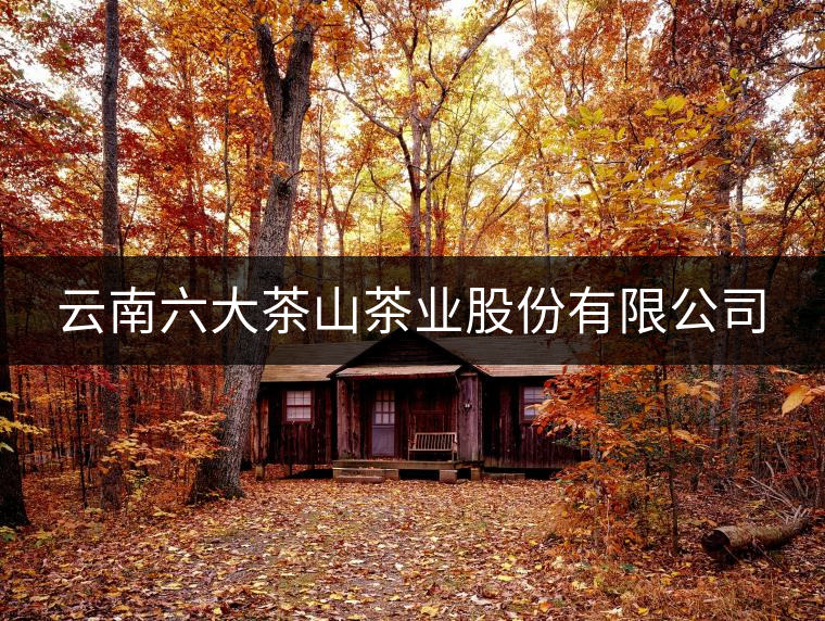 云南六大茶山茶業(yè)股份有限公司 云南六大茶山茶業(yè)股份有限公司