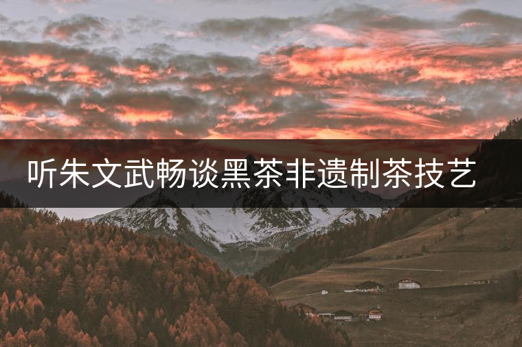 聽(tīng)朱文武暢談黑茶非遺制茶技藝的市場(chǎng)的開(kāi)拓之路 聽(tīng)朱文武暢談黑茶非遺制茶技藝的市場(chǎng)的開(kāi)拓之路