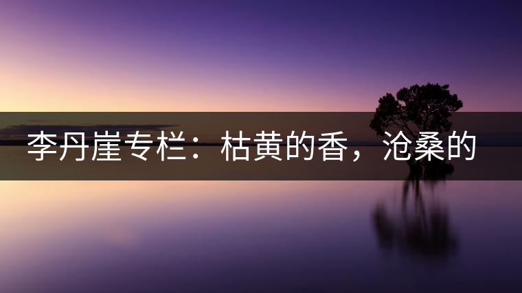 李丹崖專欄：枯黃的香，滄桑的暖