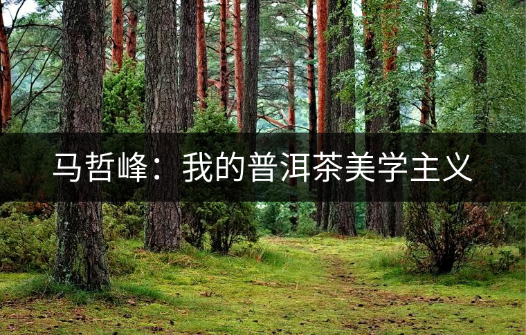 馬哲峰：我的普洱茶美學(xué)主義