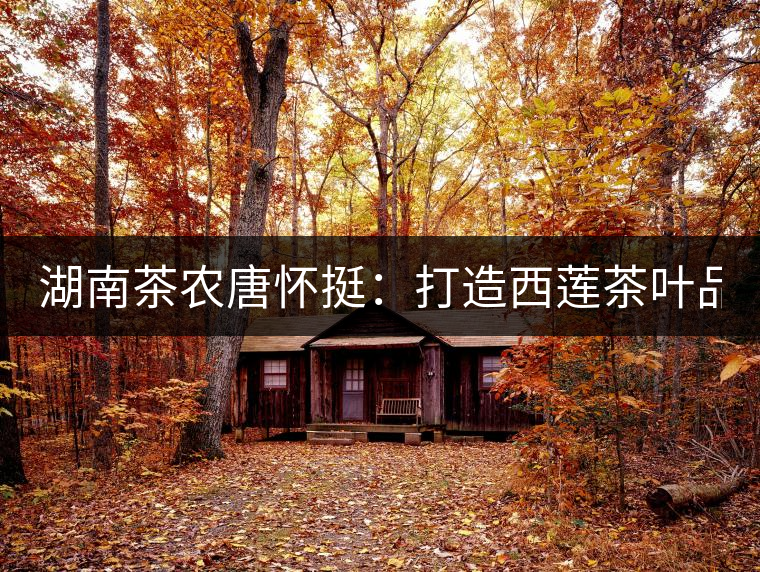 湖南茶農(nóng)唐懷挺:打造西蓮茶葉品牌 做大茶葉產(chǎn)業(yè)規(guī)模 湖南茶農(nóng)唐懷挺:打造西蓮茶葉品牌 做大茶葉產(chǎn)業(yè)規(guī)模
