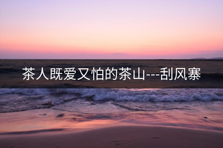 茶人既愛(ài)又怕的茶山---刮風(fēng)寨