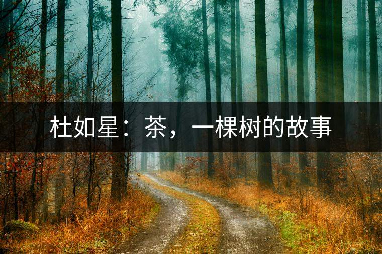 杜如星：茶，一棵樹的故事