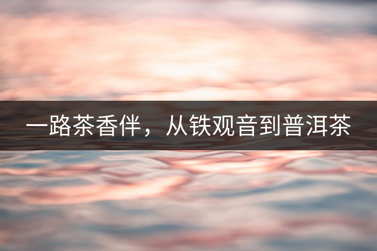 一路茶香伴，從鐵觀音到普洱茶