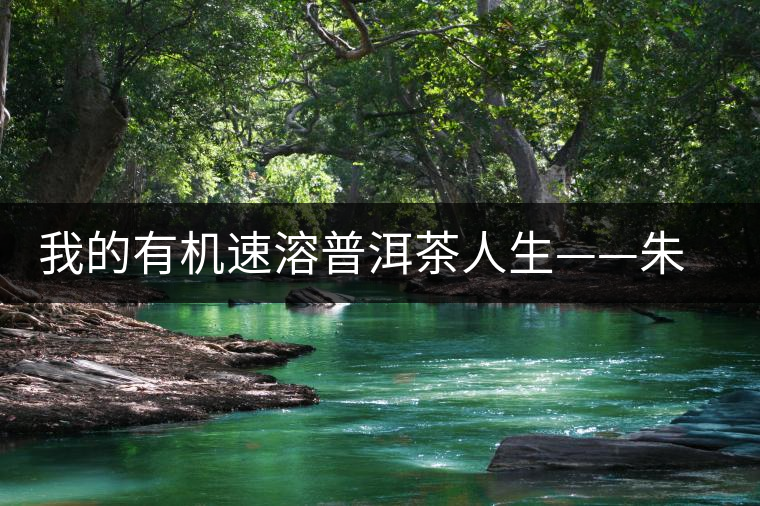 我的有機(jī)速溶普洱茶人生——朱向東 我的有機(jī)速溶普洱茶人生——朱向東