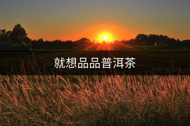 就想品品普洱茶 就想品品普洱茶