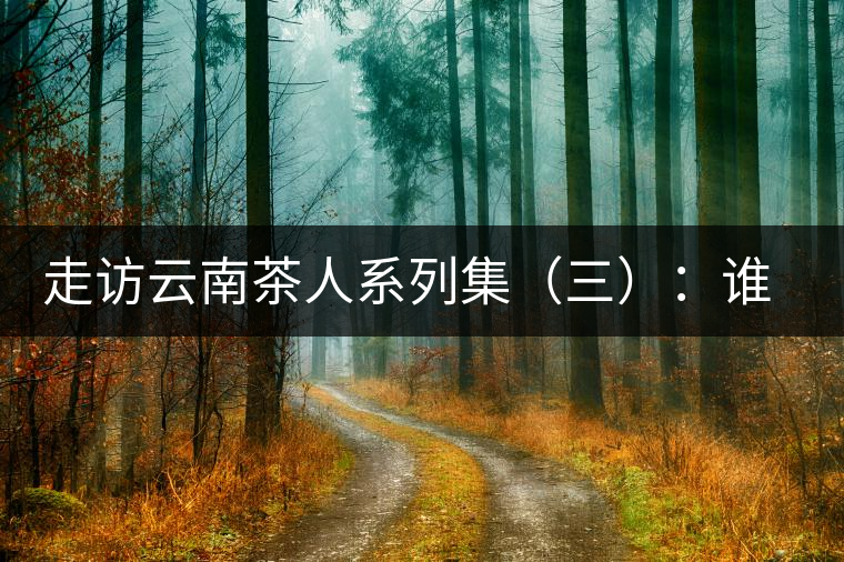 走訪云南茶人系列集（三）：誰說普洱不產(chǎn)茶？——張順高