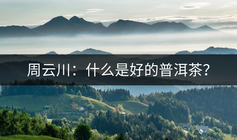 周云川：什么是好的普洱茶？