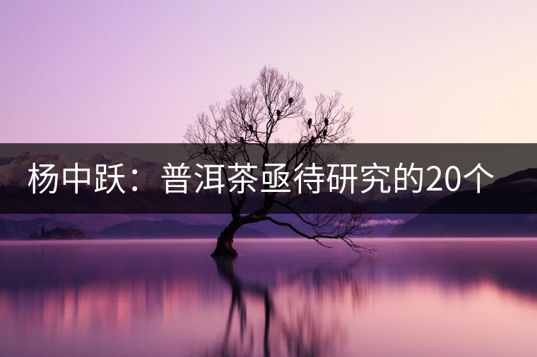 楊中躍：普洱茶亟待研究的20個(gè)問(wèn)題