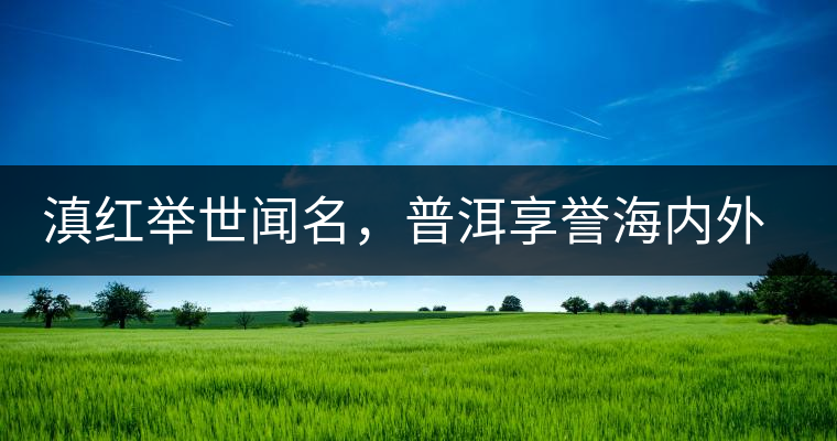 滇紅舉世聞名，普洱享譽(yù)海內(nèi)外丨專家座談——虞富蓮