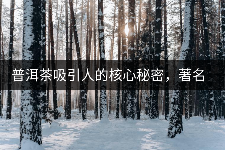 普洱茶吸引人的核心秘密，著名作家余秋雨先生三句話就告訴你