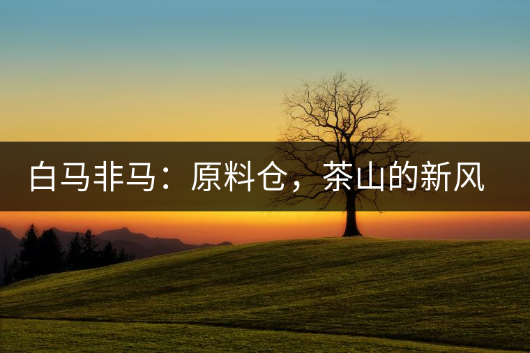 白馬非馬：原料倉(cāng)，茶山的新風(fēng)景