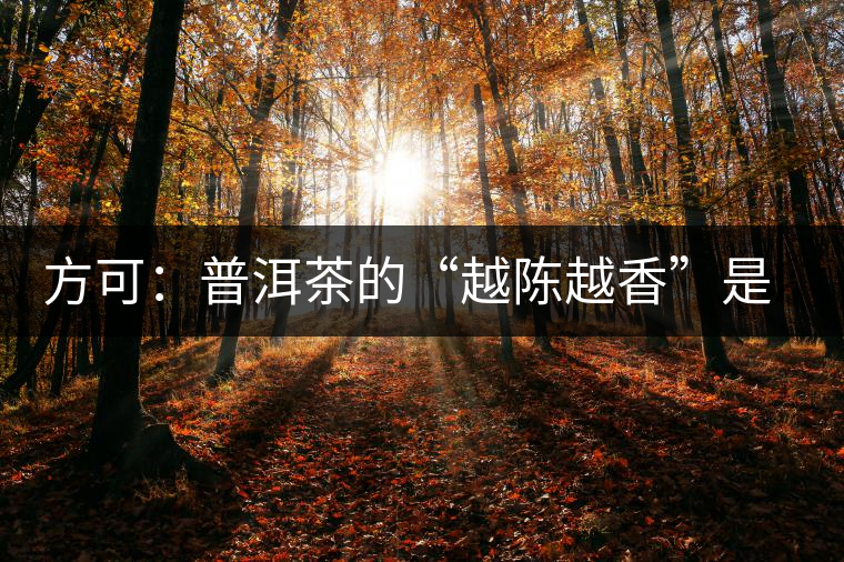 方可：普洱茶的“越陳越香”是有條件、有技術的