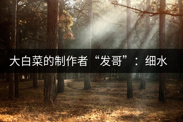 大白菜的制作者“發(fā)哥”：細(xì)水長(zhǎng)流，做茶“急不得”
