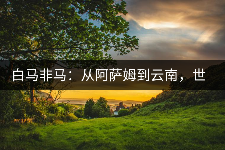 白馬非馬：從阿薩姆到云南，世界茶樹起源爭(zhēng)論的誤區(qū)