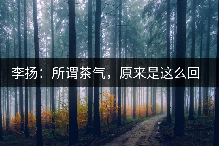 李揚：所謂茶氣，原來是這么回事