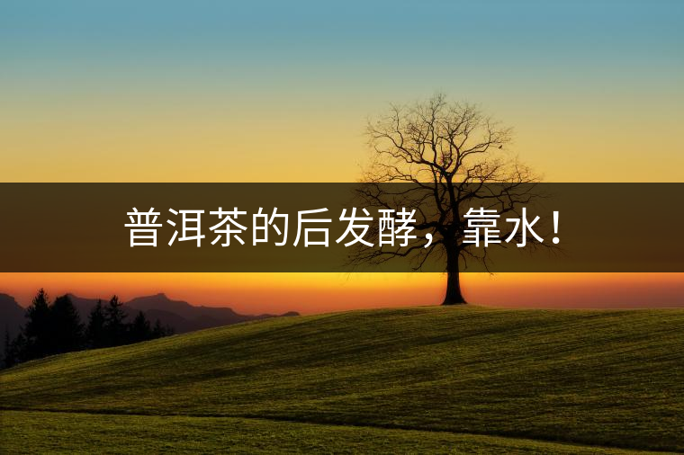 普洱茶的后發(fā)酵，靠水！