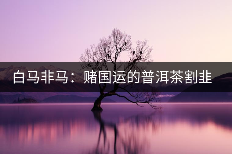 白馬非馬：賭國(guó)運(yùn)的普洱茶割韭菜運(yùn)動(dòng)